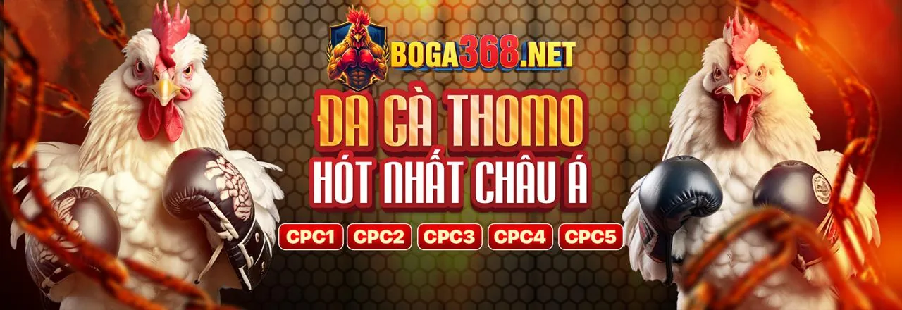 Đá gà trực tuyến hi8823 link mới